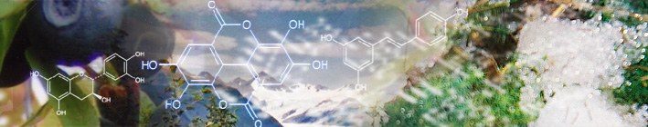 Denali BioTechnologies